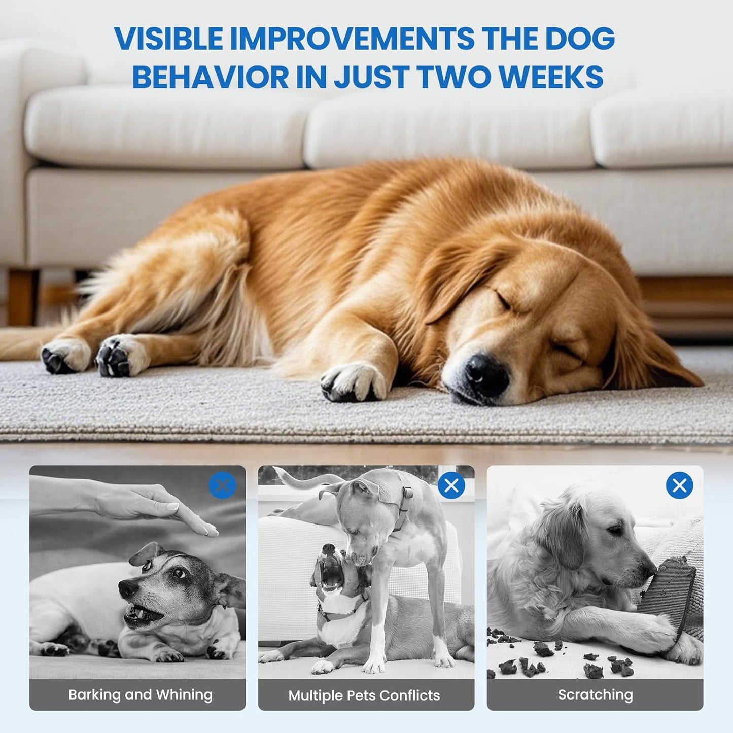 Advanced Dog Calming Diffuser Kit