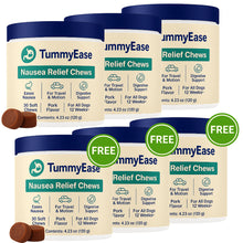 TummyEase – Nausea Relief Chews for Pets