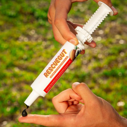 RescueGut Emergency Charcoal Gel