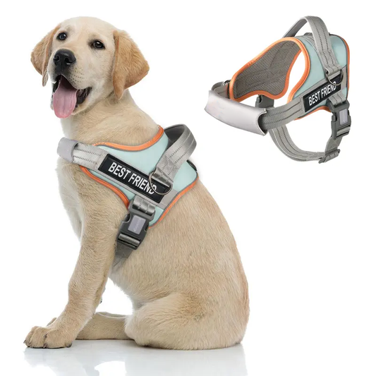 LifeGuard No-Pull Harness