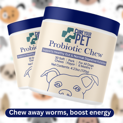 Probiotic Chews