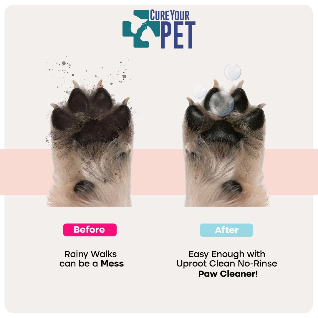Cure Your Pet Rinse-Free Foam Paw Cleanser