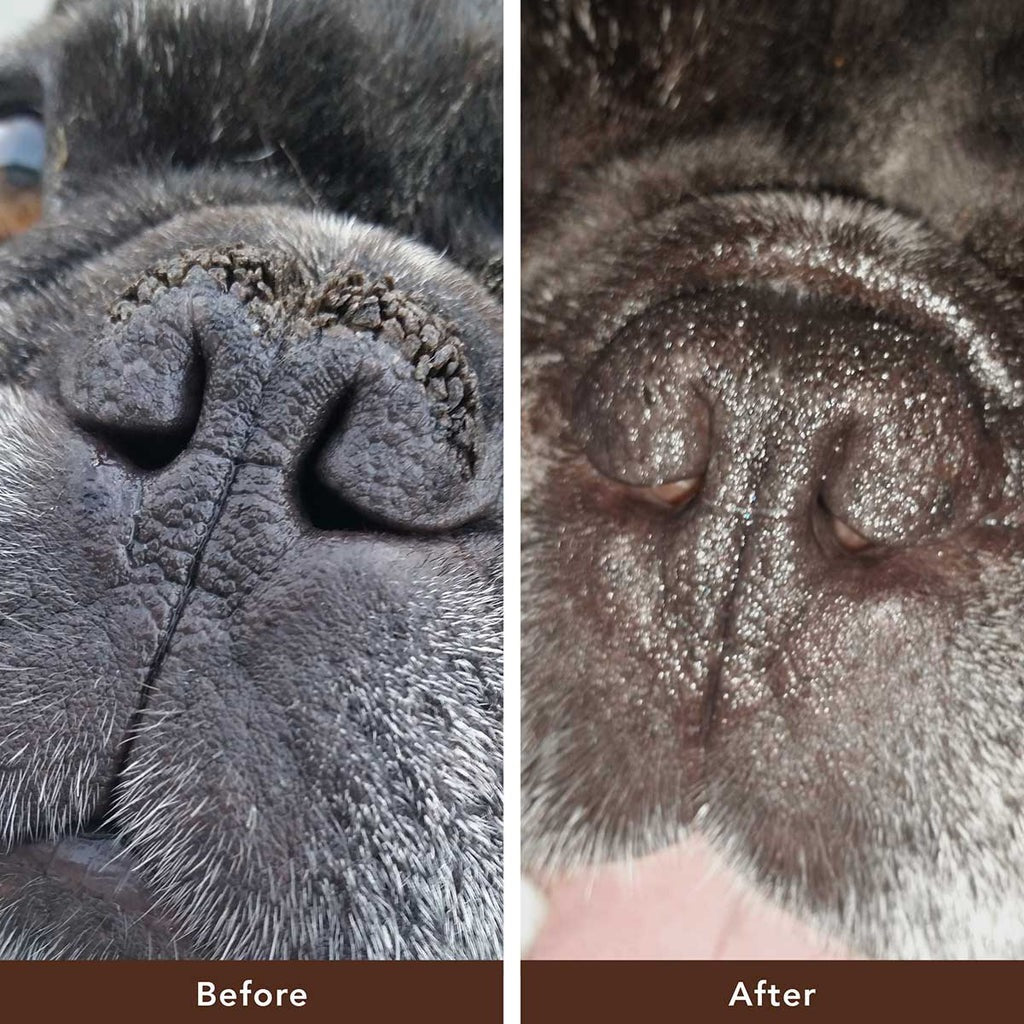 Cure Your Pet Nose Repair Cream