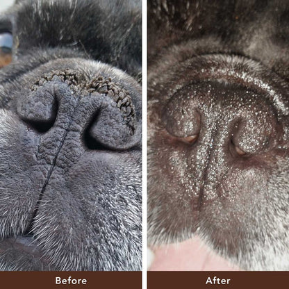 Cure Your Pet Nose Repair Cream