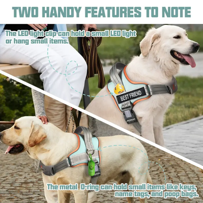 LifeGuard No-Pull Harness
