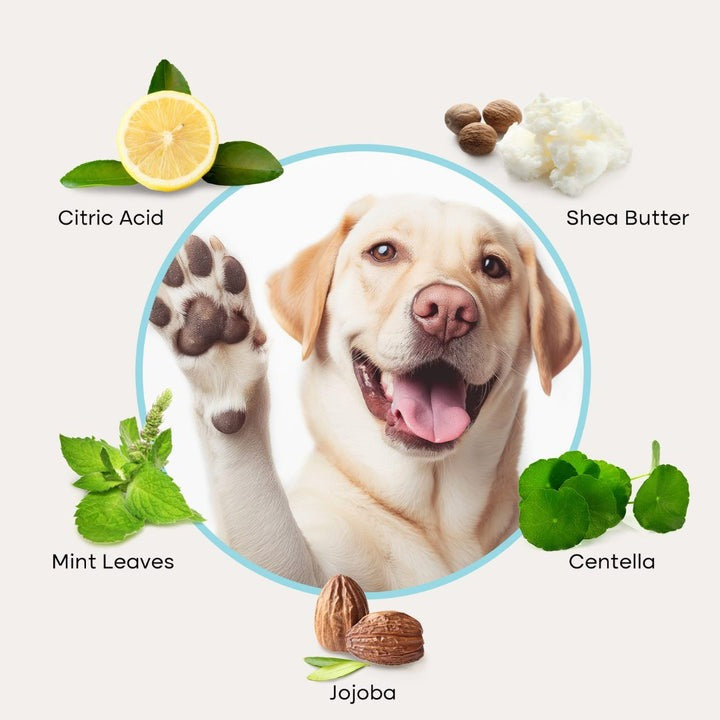 Cure Your Pet Rinse-Free Foam Paw Cleanser