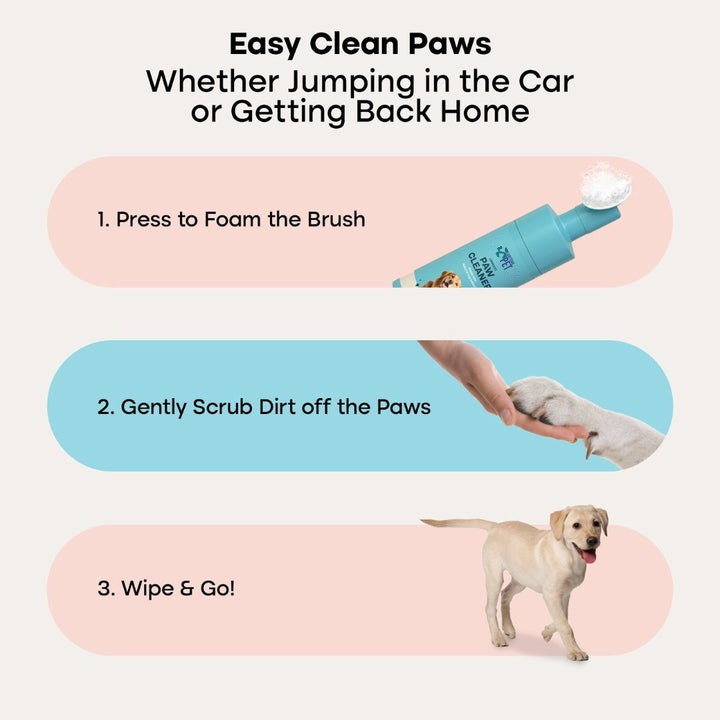 Cure Your Pet Rinse-Free Foam Paw Cleanser