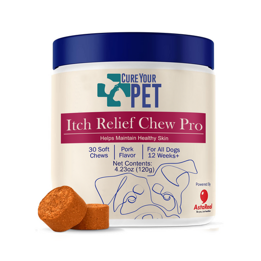 Itch Relief Chew Pro