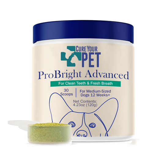 Advanced Dog Dental