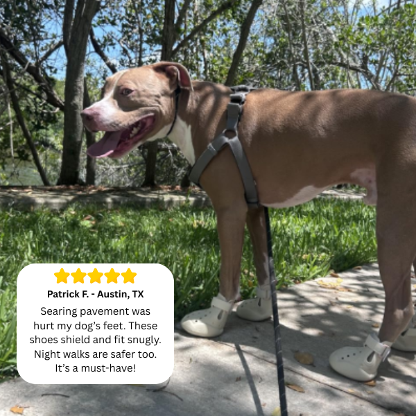 PaveSafe Dog Shoes