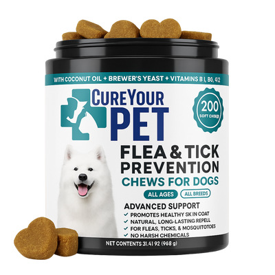CureYourPet