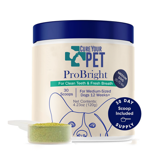 ProBright